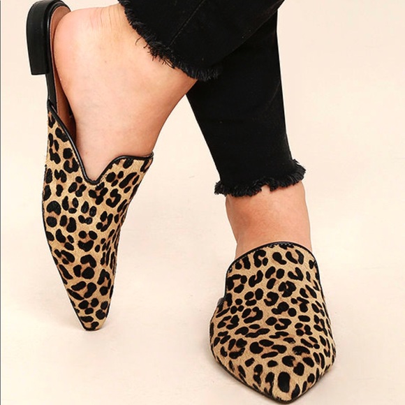 leopard mules steve madden